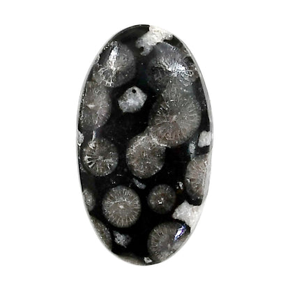 Black Flower Fossil Coral 16.5x29x5 mm Oval Shape Polished Gemstone LS82-05019