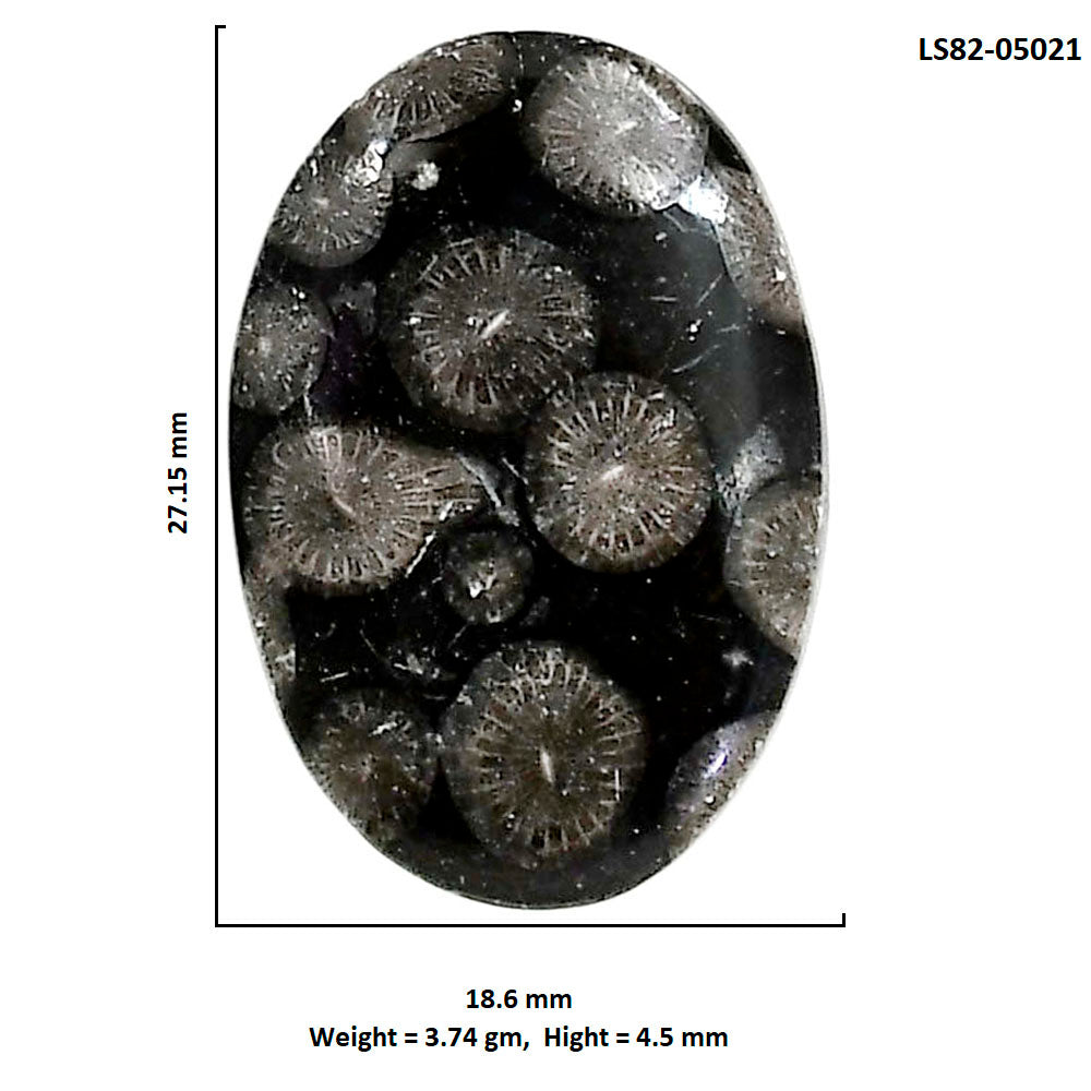 Black Flower Fossil Coral 18.6x27.15x4.5 mm Oval Shape Polished Gemstone LS82-05021