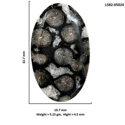 Black Flower Fossil Coral 19.7x32.7x4.5 mm Oval Shape Polished Gemstone LS82-05024
