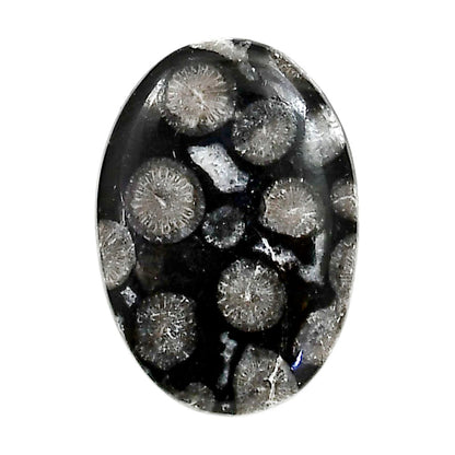 Black Flower Fossil Coral 19.7x28x4.8 mm Oval Shape Polished Gemstone LS82-05025