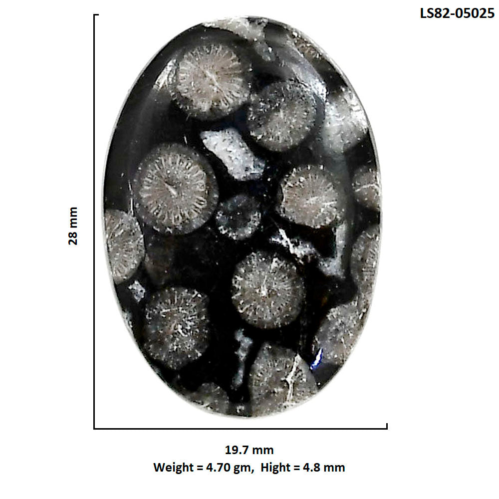 Black Flower Fossil Coral 19.7x28x4.8 mm Oval Shape Polished Gemstone LS82-05025