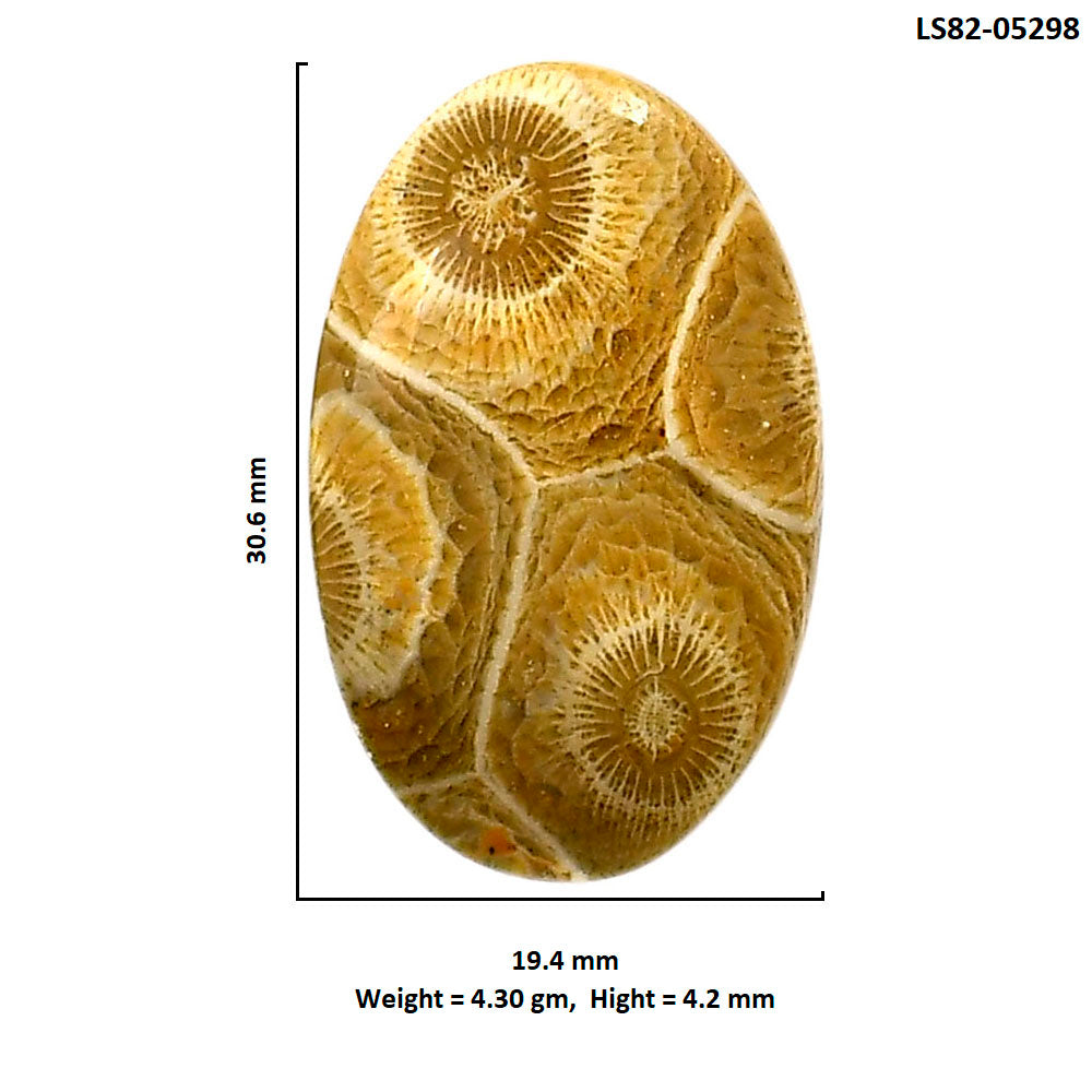 Flower Fossil Coral 19.4x30.6x4.2 mm Oval Shape Polished Gemstone LS82-05298