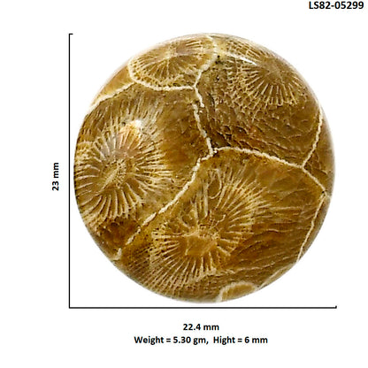 Flower Fossil Coral 22.4x23x6 mm Round Shape Polished Gemstone LS82-05299