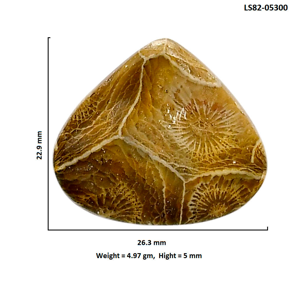 Flower Fossil Coral 22.9x26.3x5 mm Heart Shape Polished Gemstone LS82-05300