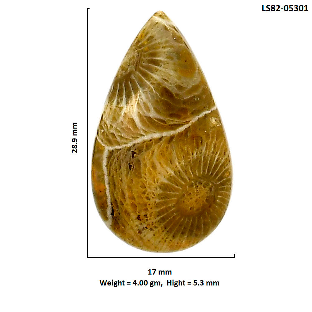 Flower Fossil Coral 17x28.9x5.3 mm Pear Shape Polished Gemstone LS82-05301
