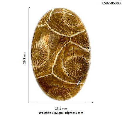 Flower Fossil Coral 17.1x26.3x5 mm Oval Shape Polished Gemstone LS82-05303