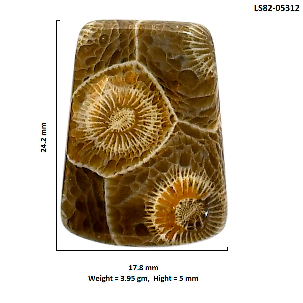 Flower Fossil Coral 17.8x24.2x5 mm Fancy Shape Polished Gemstone LS82-05312