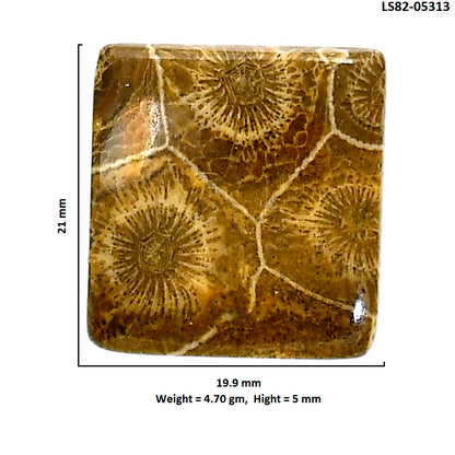 Flower Fossil Coral 19.9x21x5 mm Baguette Shape Polished Gemstone LS82-05313