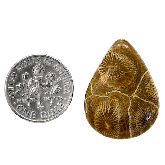 Flower Fossil Coral 19.5x26x5 mm Pear Shape Polished Gemstone LS82-05314