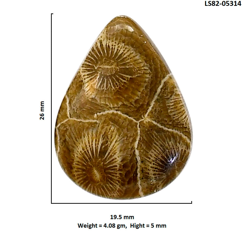 Flower Fossil Coral 19.5x26x5 mm Pear Shape Polished Gemstone LS82-05314