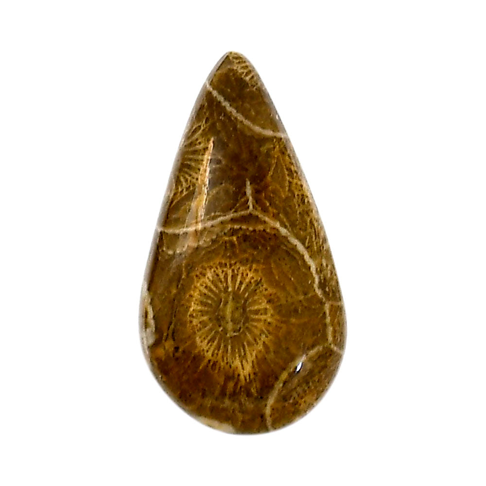 Flower Fossil Coral 15.8x29.2x5 mm Pear Shape Polished Gemstone LS82-05315