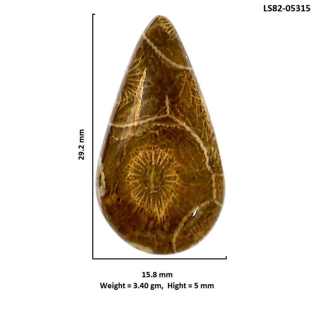 Flower Fossil Coral 15.8x29.2x5 mm Pear Shape Polished Gemstone LS82-05315