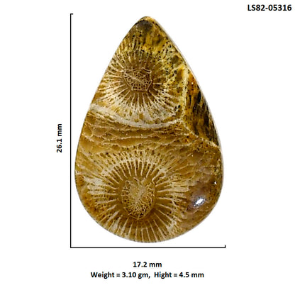 Flower Fossil Coral 17.2x26.1x4.5 mm Pear Shape Polished Gemstone LS82-05316