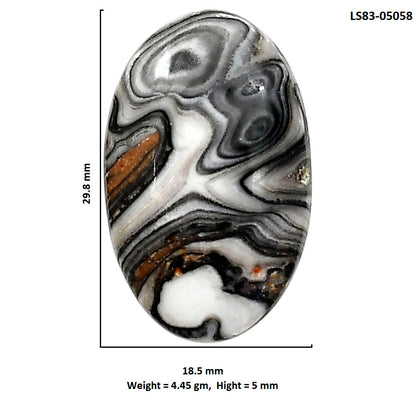 Prairie Agate 18.5x29.8x5 mm Oval Shape Polished Gemstone LS83-05058