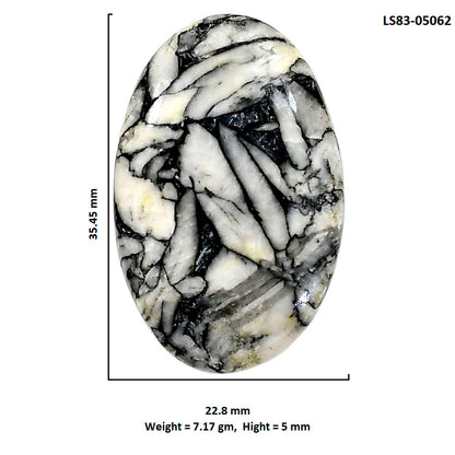 Prairie Agate 22.8x35.45x5 mm Oval Shape Polished Gemstone LS83-05062