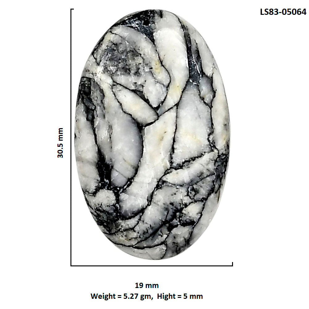 Prairie Agate 19x30.5x5 mm Oval Shape Polished Gemstone LS83-05064