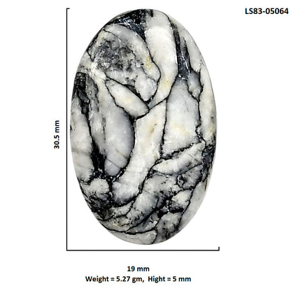 Prairie Agate 19x30.5x5 mm Oval Shape Polished Gemstone LS83-05064