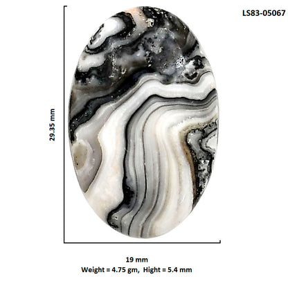 Prairie Agate 19x29.35x5.4 mm Oval Shape Polished Gemstone LS83-05067