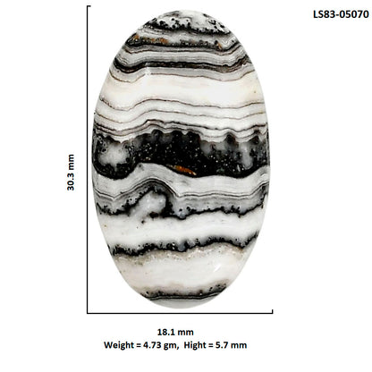 Prairie Agate 18.1x30.3x5.7 mm Oval Shape Polished Gemstone LS83-05070