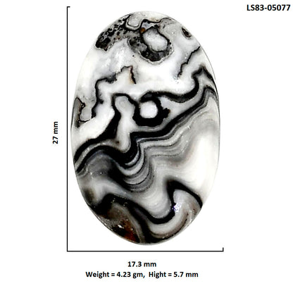 Prairie Agate 17.3x27x5.7 mm Oval Shape Polished Gemstone LS83-05077
