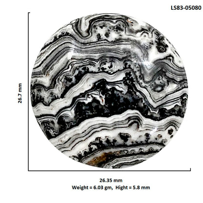 Prairie Agate 26.35x26.7x5.8 mm Round Shape Polished Gemstone LS83-05080
