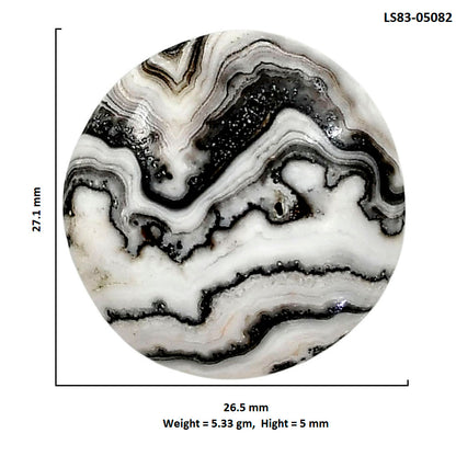 Prairie Agate 26.5x27.1x5 mm Round Shape Polished Gemstone LS83-05082