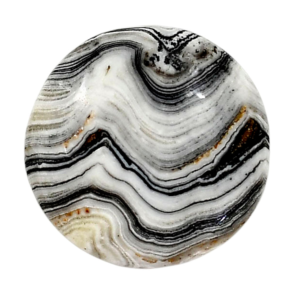 Prairie Agate 26.5x26.6x5.3 mm Round Shape Polished Gemstone LS83-05083