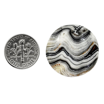 Prairie Agate 26.5x26.6x5.3 mm Round Shape Polished Gemstone LS83-05083
