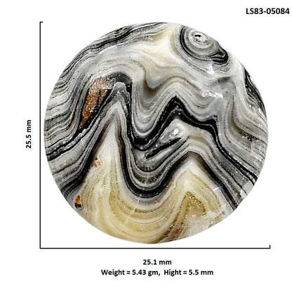 Prairie Agate 25.1x25.5x5.5 mm Round Shape Polished Gemstone LS83-05084