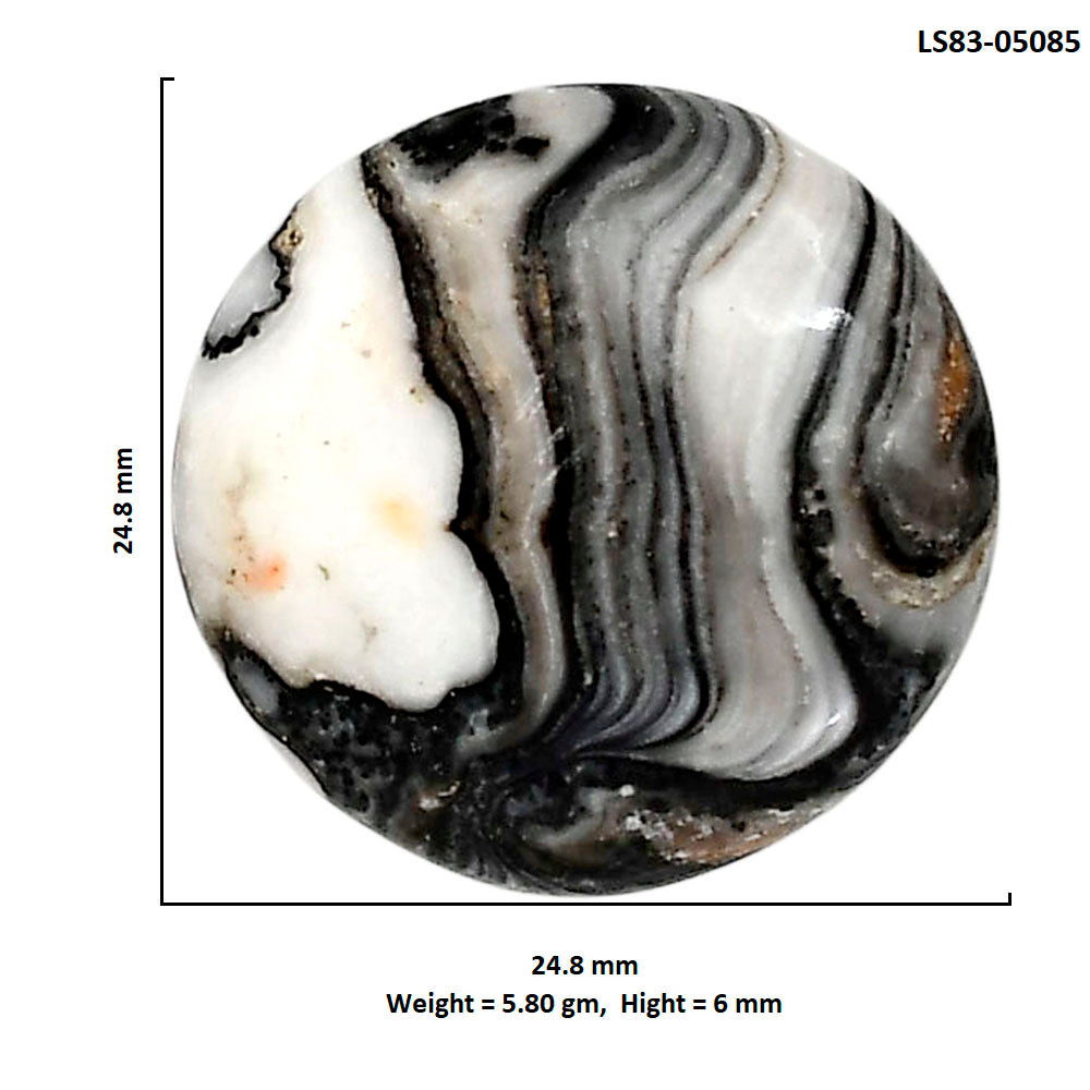 Prairie Agate 24.8x24.8x6 mm Round Shape Polished Gemstone LS83-05085