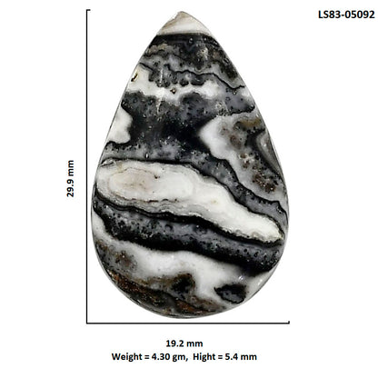 Prairie Agate 19.2x29.9x5.4 mm Pear Shape Polished Gemstone LS83-05092