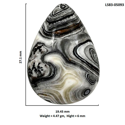 Prairie Agate 19.45x27.1x6 mm Pear Shape Polished Gemstone LS83-05093