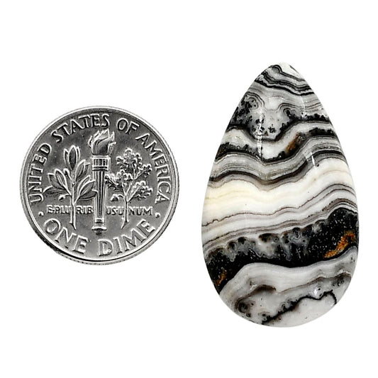Prairie Agate 17.7x29.7x4.8 mm Pear Shape Polished Gemstone LS83-05096