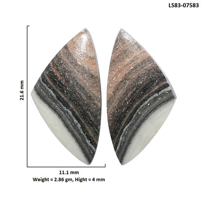 Prairie Agate Pair 11.1x21.6x4 mm Fancy Shape Polished Gemstone LS83-07583