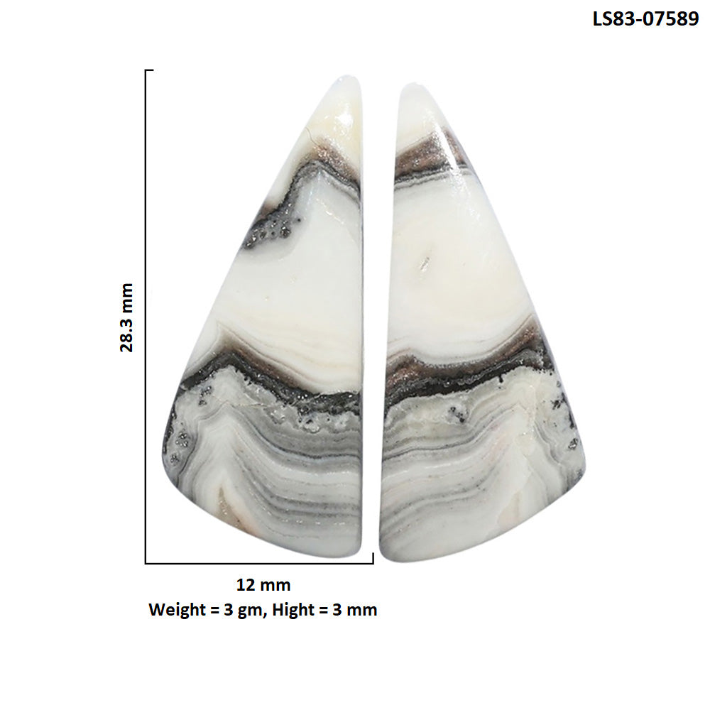Prairie Agate Pair 12x28.3x3 mm Fancy Shape Polished Gemstone LS83-07589