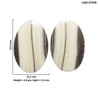 Prairie Agate Pair 15.1x22.9x3.5 mm Oval Shape Polished Gemstone LS83-07596