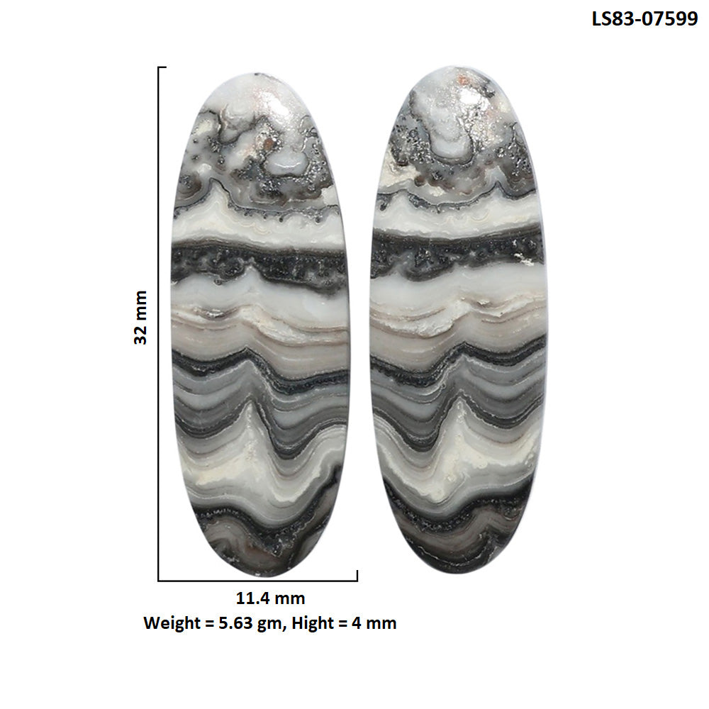 Prairie Agate Pair 11.4x32x4 mm Oval Shape Polished Gemstone LS83-07599
