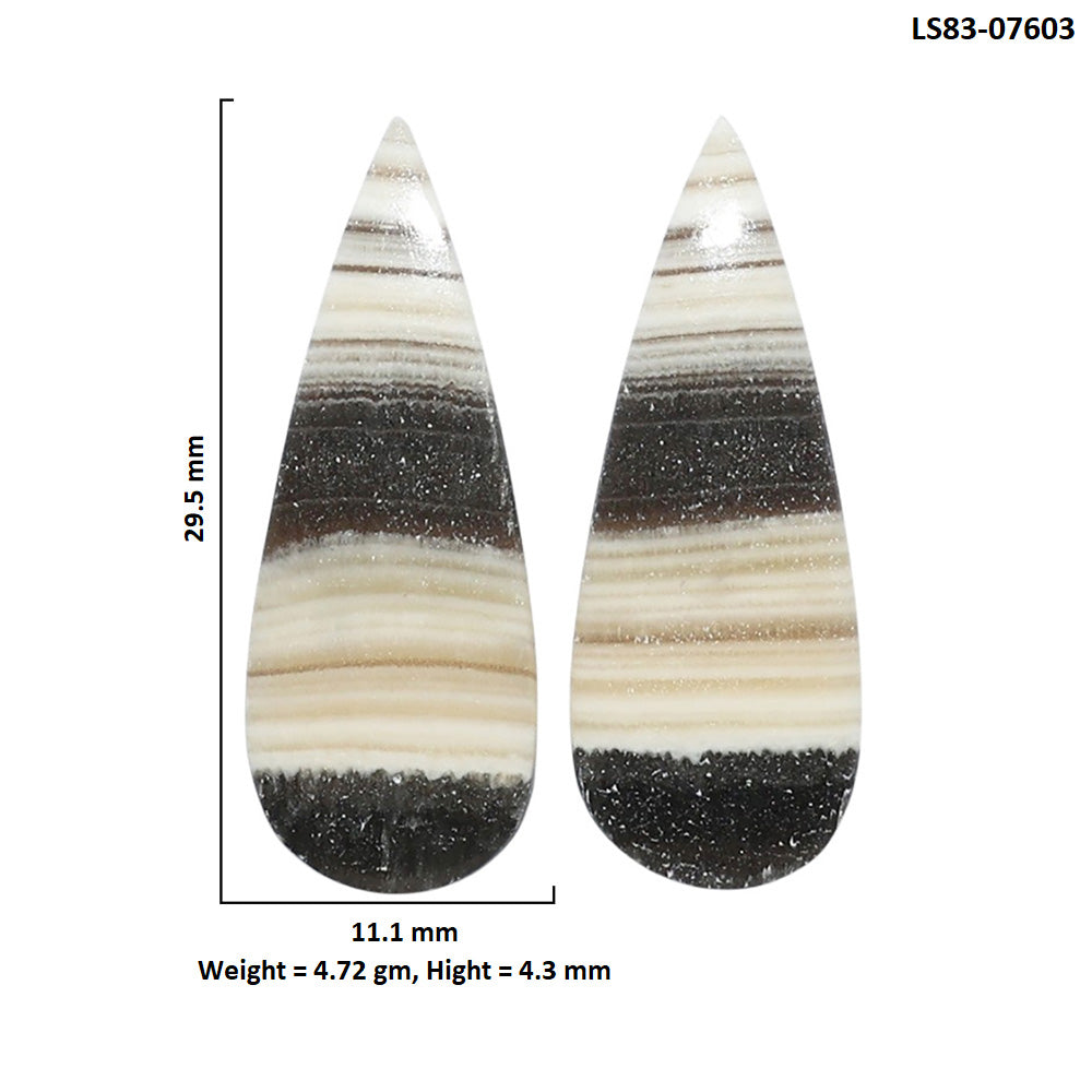 Prairie Agate Pair 11.1x29.5x4.3 mm Pear Shape Polished Gemstone LS83-07603