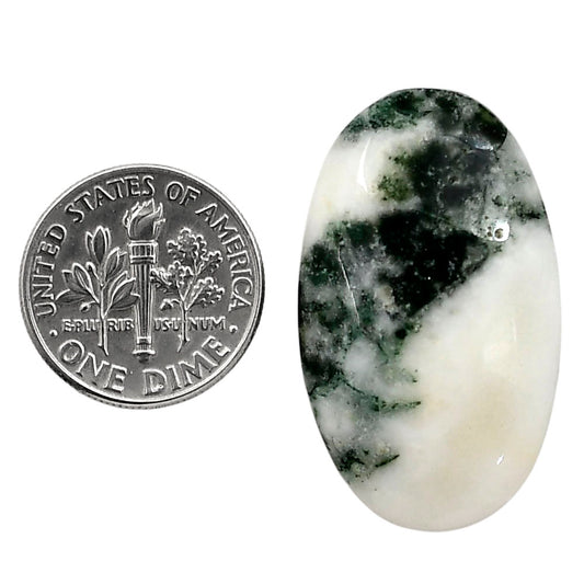 Tree Weed Moss Agate 19x32.25x6 mm Pear Shape Polished Gemstone LS84-05099