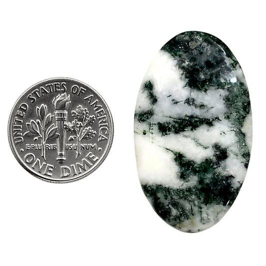 Tree Weed Moss Agate 20x34x4.5 mm Oval Shape Polished Gemstone LS84-05100