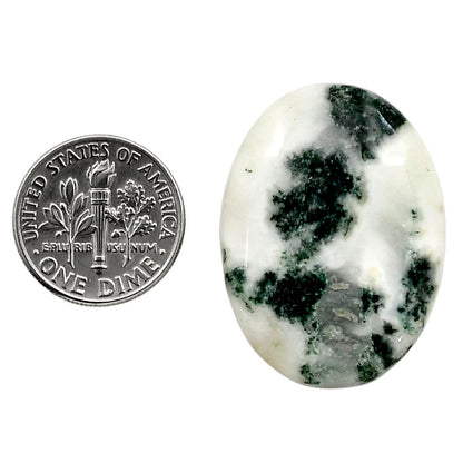 Tree Weed Moss Agate 23.55x31.65x5.5 mm Oval Shape Polished Gemstone LS84-05101