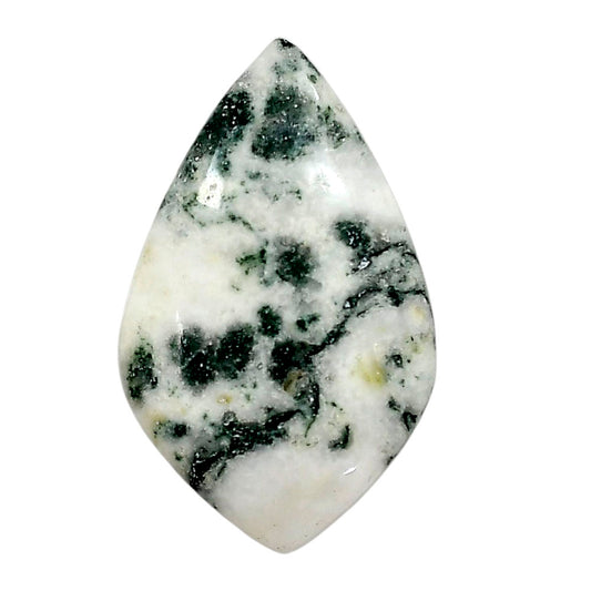 Tree Weed Moss Agate 23.75x38.56x5.5 mm Fancy Shape Polished Gemstone LS84-05103