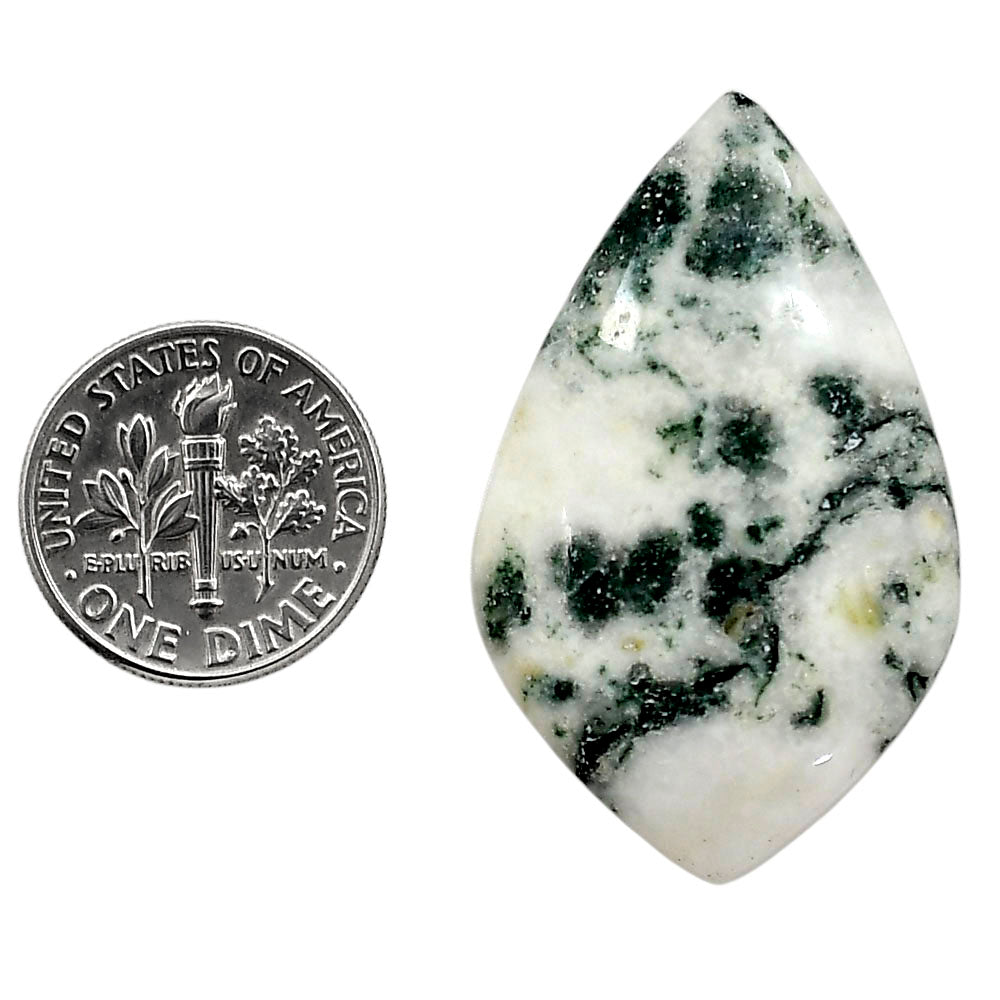 Tree Weed Moss Agate 23.75x38.56x5.5 mm Fancy Shape Polished Gemstone LS84-05103