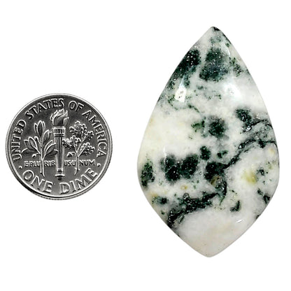 Tree Weed Moss Agate 23.75x38.56x5.5 mm Fancy Shape Polished Gemstone LS84-05103
