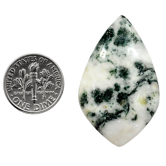 Tree Weed Moss Agate 23.75x38.56x5.5 mm Fancy Shape Polished Gemstone LS84-05103