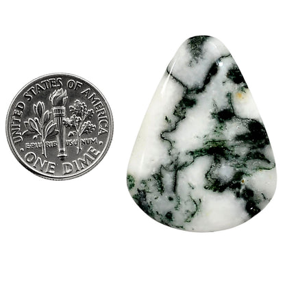Tree Weed Moss Agate 24.75x32.5x4 mm Fancy Shape Polished Gemstone LS84-05106