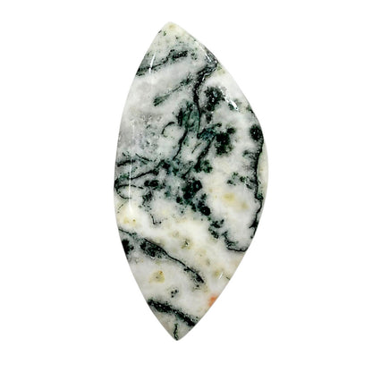 Tree Weed Moss Agate 22.15x45.5x4.5 mm Fancy Shape Polished Gemstone LS84-05109