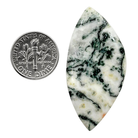 Tree Weed Moss Agate 22.15x45.5x4.5 mm Fancy Shape Polished Gemstone LS84-05109