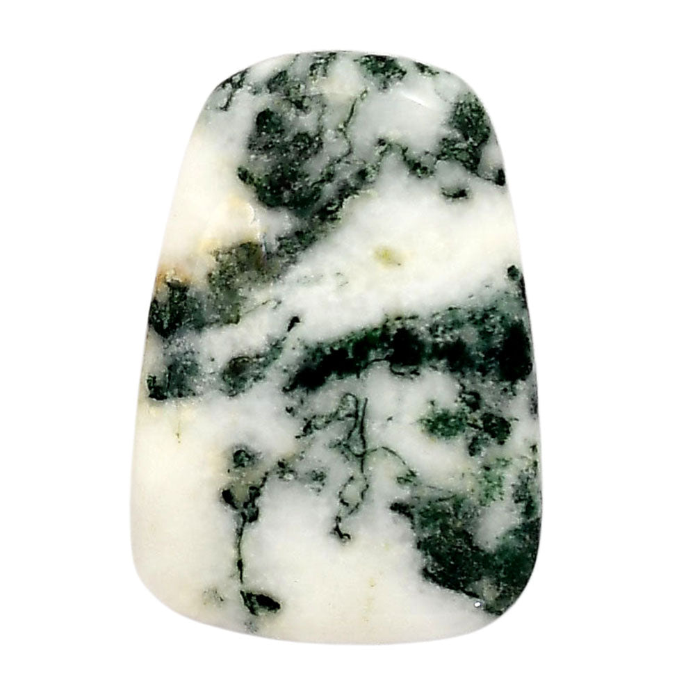 Tree Weed Moss Agate 22.9x32.9x6 mm Fancy Shape Polished Gemstone LS84-05110