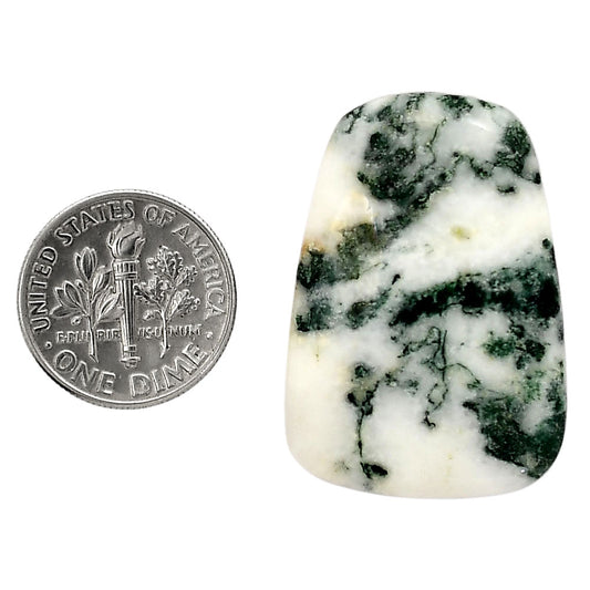 Tree Weed Moss Agate 22.9x32.9x6 mm Fancy Shape Polished Gemstone LS84-05110